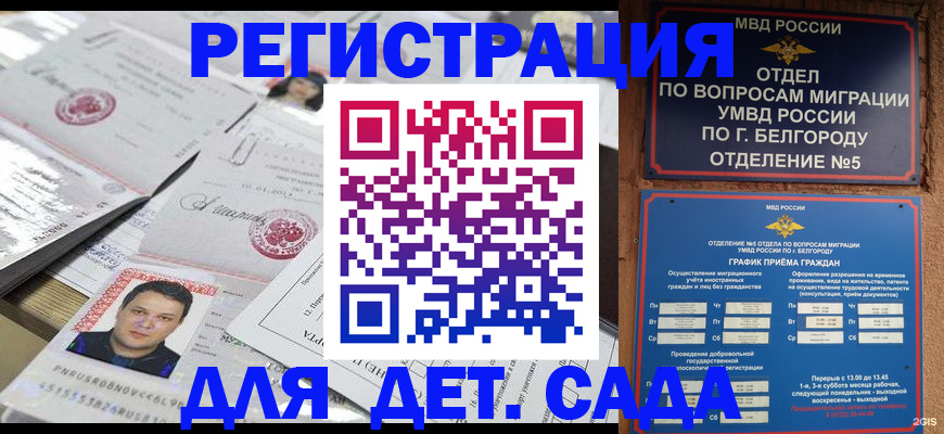 прописка от собственника в Светлогорске